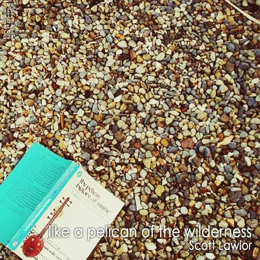 Like a Pelican of the Wilderness