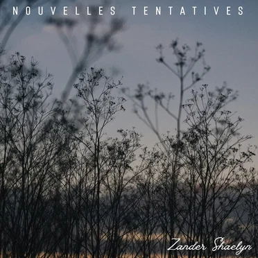 Nouvelles tentatives