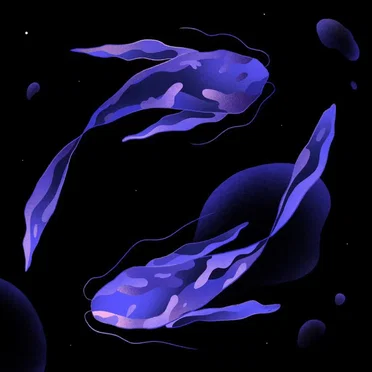 Guidance EP by Various Artists - album cover