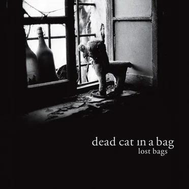 Lost Bags by Dead Cat in a Bag - album cover