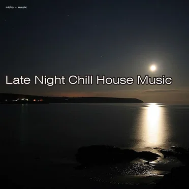Late Night Chill House Music by Various Artists - album cover