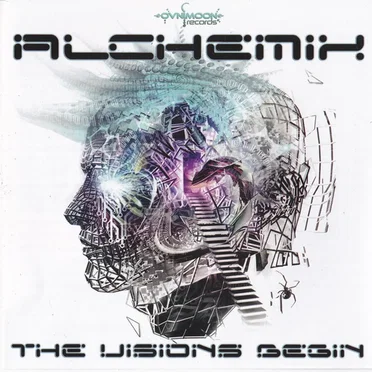 The Visions Begin