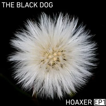 Hoaxer EP1