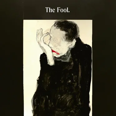 The Fool by De Ambassade - album cover