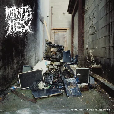 Permanently Delete All Items by Infinite Hex - album cover