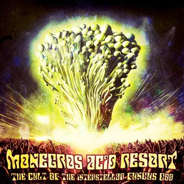 The Cult of the Interstellar Fungus God