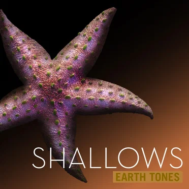Shallows