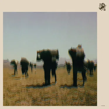 Zawsze Coś by Ben Bekele - album cover