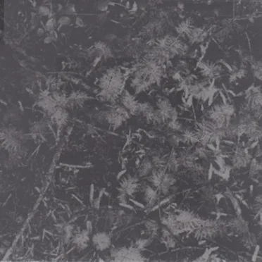 Poisoned Soil