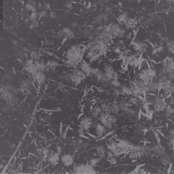 Poisoned Soil