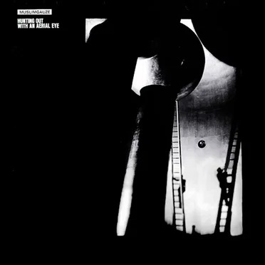 Hunting Out With an Aerial Eye