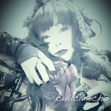 cullcanecho by カルカンエコー - album cover