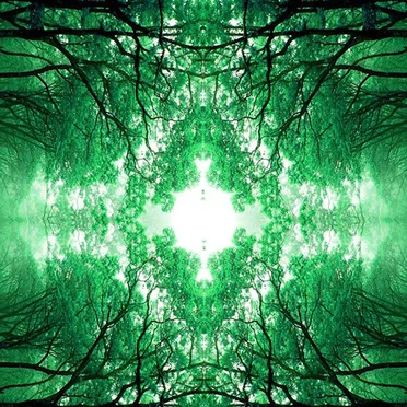Good Morning Forest by lYsergZwerg - album cover