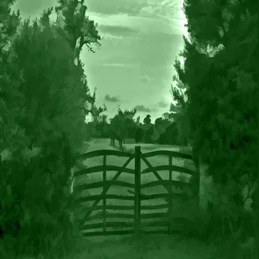 No GREEN Pass