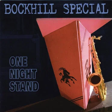 One Night Stand by Bockhill Special - album cover