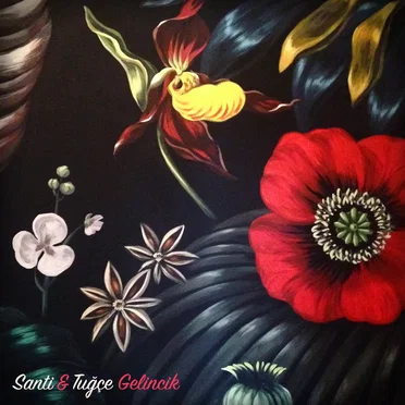 Gelincik by Santi & Tuğçe - album cover
