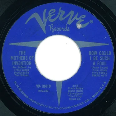 How Could I Be Such a Fool