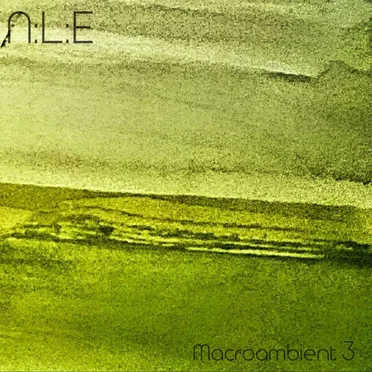 Macro Ambient 3 by N:L:E - album cover