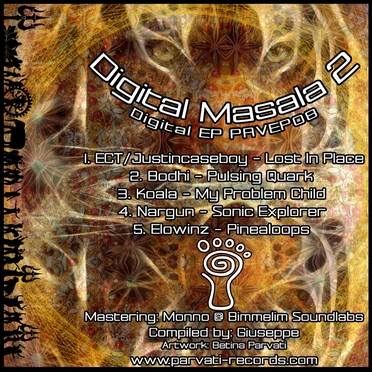 Digital Masala 2 by Various Artists - album cover