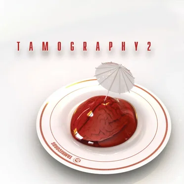 Tamography 2 by Various Artists - album cover