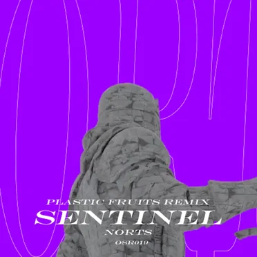 Sentinel (Plastic Fruits remix) by Norts - album cover