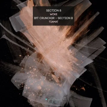 Woke // Tiamat by Section 8 - album cover