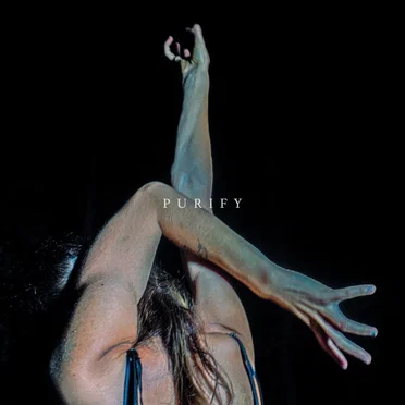 Purify by Nailed Shut MA - album cover