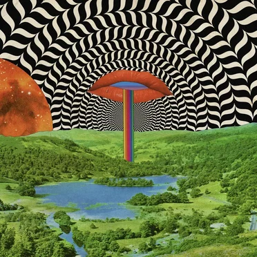 Jazz Dispensary: The Dank D-Funk Blend by Various Artists - album cover