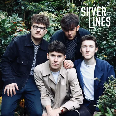 Fallen Idol by The Silver Lines - album cover