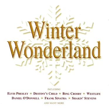 Winter Wonderland by Various Artists - album cover