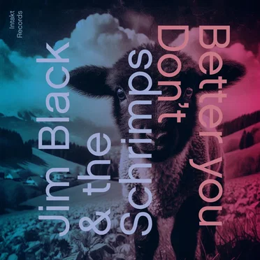 Better You Don't by Jim Black & The Schrimps - album cover