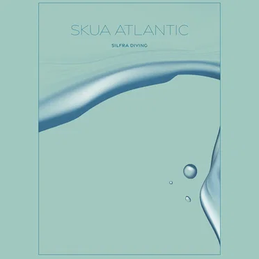 Silfra Diving