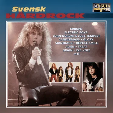 Svensk Hårdrock by Various Artists - album cover