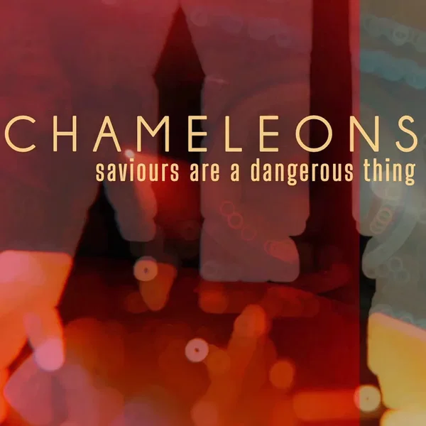 Saviours Are a Dangerous Thing