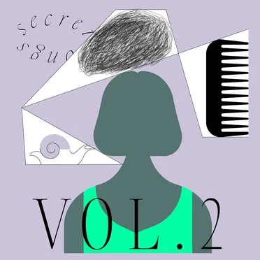 Secret Songs Volume 2 by Various Artists - album cover