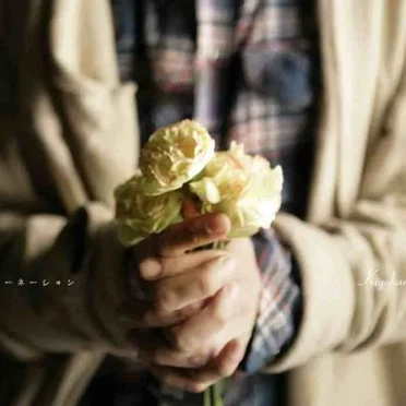 カーネーション