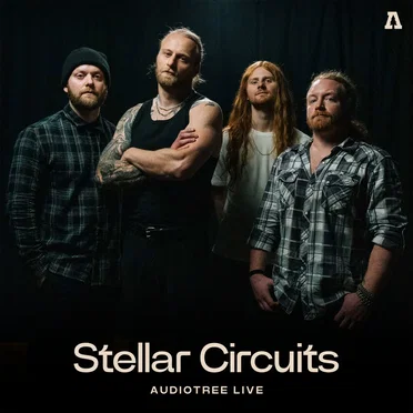 Stellar Circuits