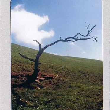 Refined on Gentle Clouds