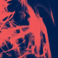 Rival Consoles artist image