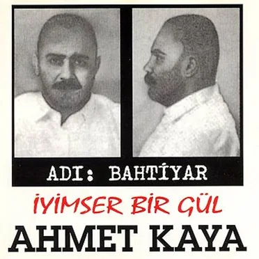 İyimser Bir Gül