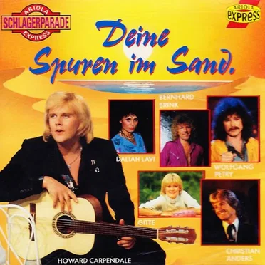 Deine Spuren im Sand by Various Artists - album cover