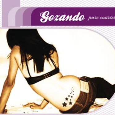 Gozando puro cuarteto by Various Artists - album cover