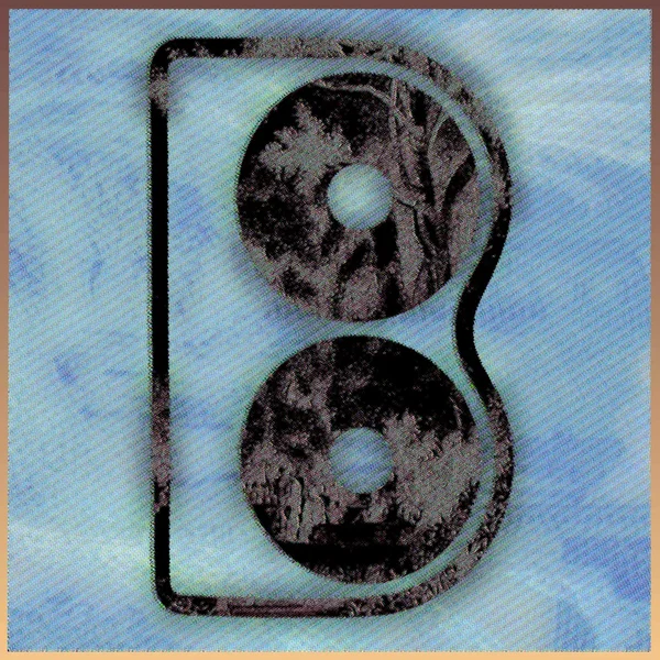 BnCx4