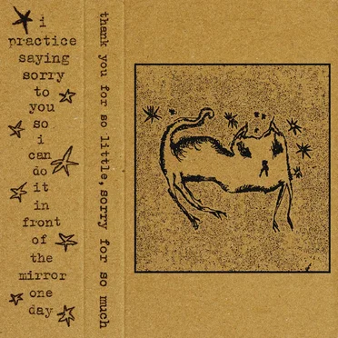 Thank You for So Little, Sorry for So Much by I Practice Saying Sorry to You So I Can Do It in Front of the Mirror One Day - album cover