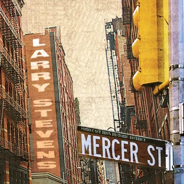 Mercer Street by Larry Stevens - album cover