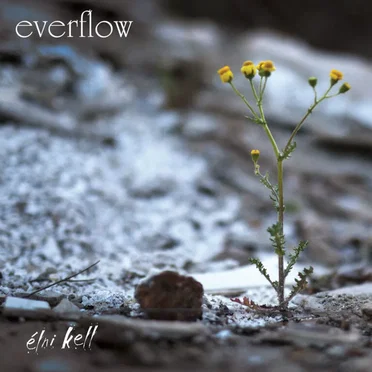 Élni kell by Everflow - album cover