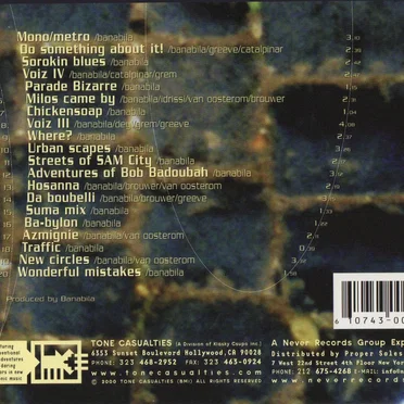 VoizNoiz: Urban Sound Scapes