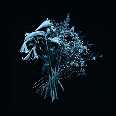 The End Is the Beginning by Mirror Of Haze - album cover