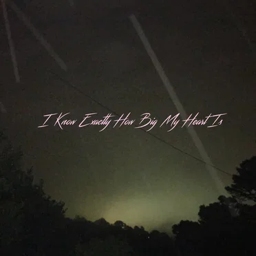 I Know Exactly How Big My Heart Is (48hr version)