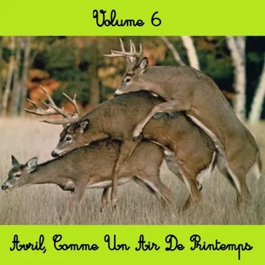 We Are the 28th - Volume 6 - Avril, Comme un air de printemps by Various Artists - album cover